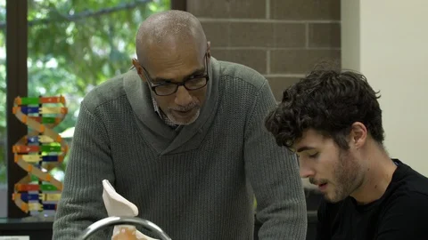 Tutor teaching student using anatomical model. Stock Footage 88014407