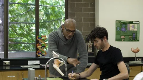 Tutor teaching student using anatomical model. Stock Footage 88014451