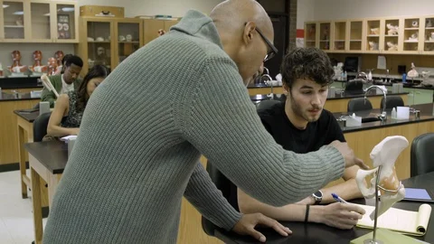 Tutor teaching students about anatomical model. 스톡 동영상 88015475