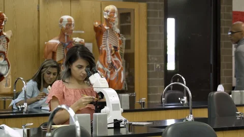 Tutor teaching students biology in science laboratory. Stock Footage 88014587