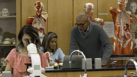 Tutor teaching students biology in science laboratory. Stock-Footage 88014609