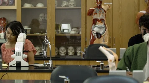 Tutor teaching students biology in science laboratory. 動画素材 88014734