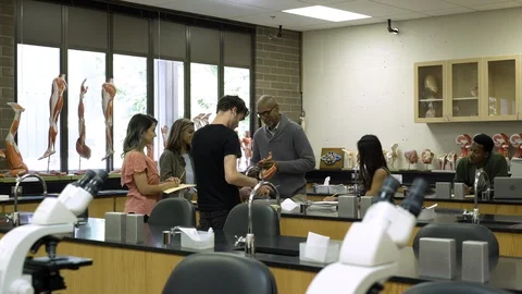 Tutor teaching students using anatomical model. 動画素材 88014070