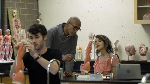 Tutor teaching students using anatomical model. 스톡 동영상 88014180