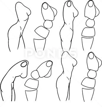 Male profile study! #humananatomy #muscles #gesture #figuredrawing #anatomy  #art #shading #doodle #sketch #lineart #maletorso #gottogetbe... | Instagram