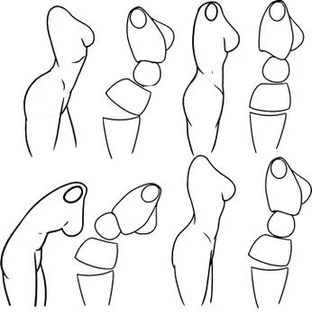 Tutorial Of Drawing A Female Body. Drawing The Human Body, Step By Step  Lessons. Stock Photo, Picture and Royalty Free Image. Image 147861627.
