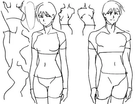 Tutorial of drawing female body. Drawing the human body, step by step lessons Stockillustratie