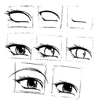 Tutorial of drawing human eye. Eye in anime style. female eyelashes. 库存插图