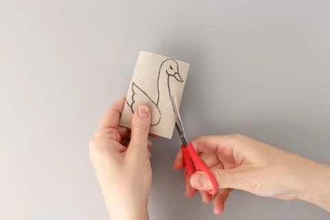 Tutorial how to cut out paper swan bird toy, recycle art, toilet paper roll.. Stock Photos