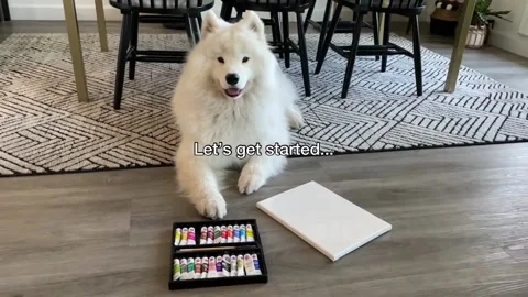 Tutorial how to draw pictures with a dog Vídeo Stock 170356556