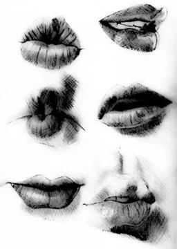 Tutorial lesson drawing human mouth and lips. Drawing smiles and lips. 库存插图