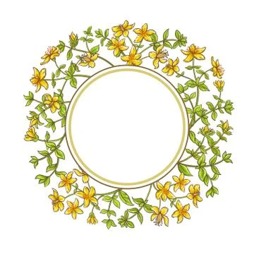 Tutsan branch vector frame Stock Illustration