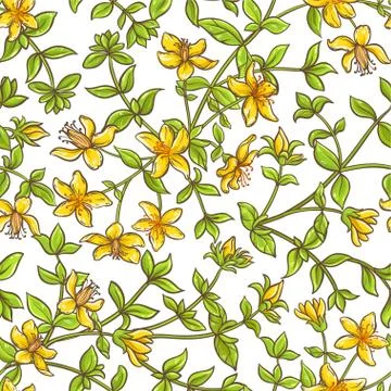 Tutsan branch vector pattern Stock Illustration