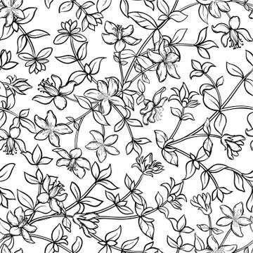 Tutsan seamless pattern Illustrazione stock