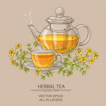 Tutsan tea vector illustration Stock Illustration