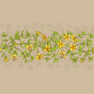 Tutsan vector pattern Stock Illustration