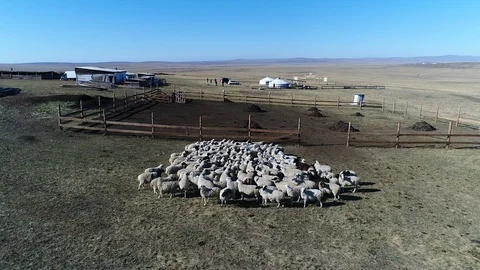 Tuva 011 42 Video stock 122583029