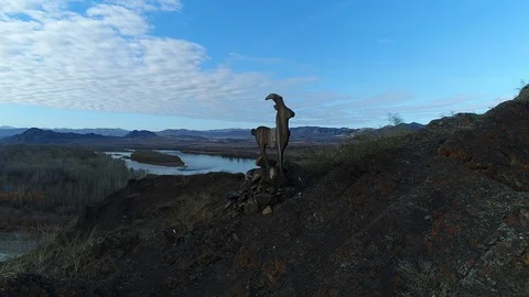 Tuva - Deer Stock Footage 122573152