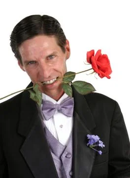 Tux &amp; Rose Stock Photos