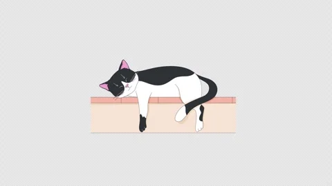 Tuxedo bicolor cat peacefully napping on step 2D character animation Video stock 306756577