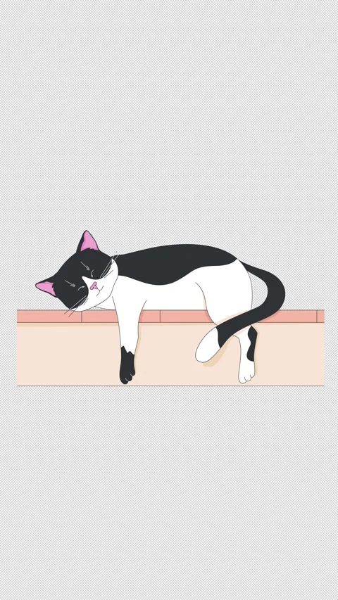 Tuxedo bicolor cat peacefully napping on step 2D character vertical animation Video stock 320192437