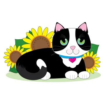 Tuxedo Cat Stock Illustration