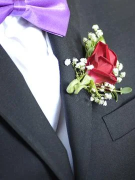 Tuxedo at wedding Stock Photos