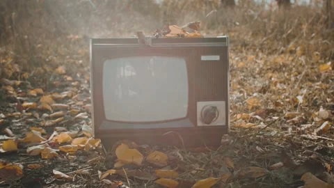 Tv BB Stock Footage 306509565