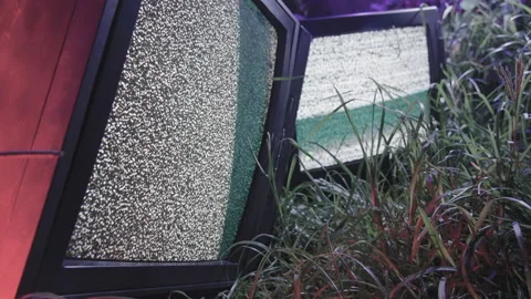 TV noise in the forest 스톡 동영상 171348872