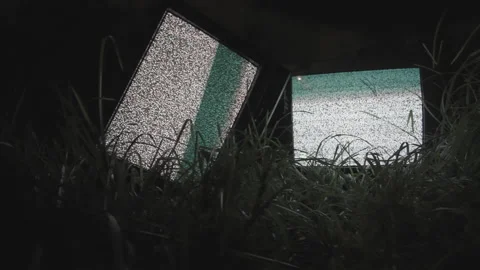 TV noise in the forest 스톡 동영상 171349585
