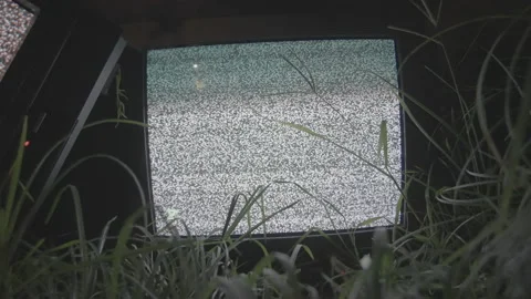 TV noise in the forest 스톡 동영상 171350107