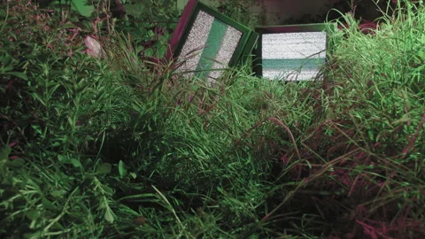 Tv noise in the forest 스톡 동영상 171350825