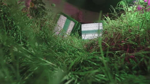 Tv noise in the grass Vidéo 171351137