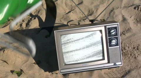 TV park frog cu Video stock 722209