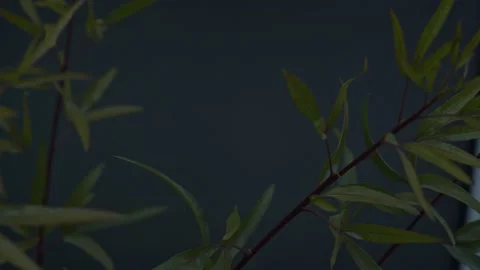 TV Powering On Static Outdoors Stock Footage 149167347