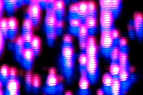 TV Rescan 5 스톡 동영상 101059