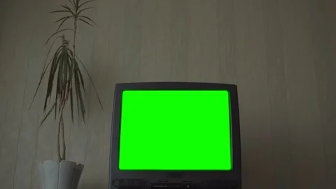 TV set with green chromakey screen near pot plant closeup Video stock 122243970