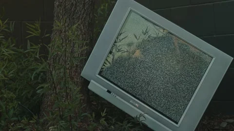 TV Static Outdoors Against Tree Stock Footage 149167390