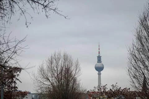 TV Tower in Berlin Framed by Bare Trees on Overcast Winter Day 写真素材