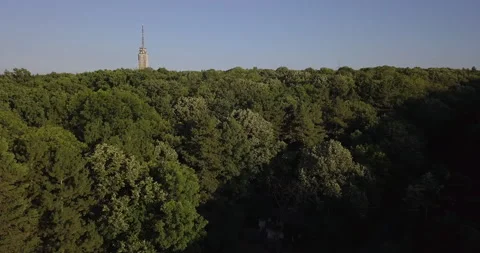 TV Tower Forest Trees Nature Sofia Bulgaria Stock Footage 160247482