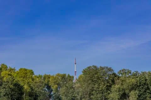 TV tower infrastructure local object above green top of trees foliage blue sky  Stock Photos