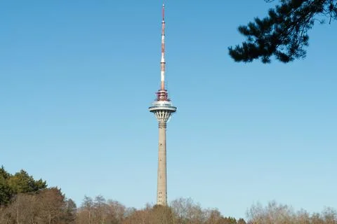 TV tower view throw the forest in Estonia, Tallinn. Stock Photos