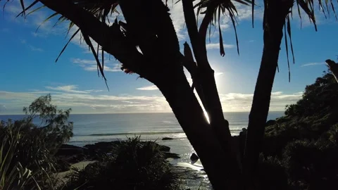 Tweed Heads Stock Footage 273038718