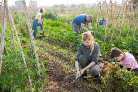 Tween boy helping mother work in vegetable garden Stock Photos