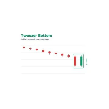 Tweezer Bottom Candlestick Pattern Labeled Vector Trading Chart Technical Stock Illustration