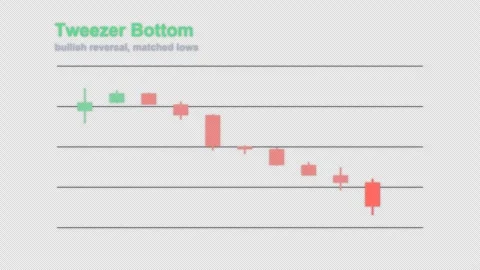 Tweezer Bottom Labeled Candlestick Pattern Chart Alpha 4K Vidéo 339402841