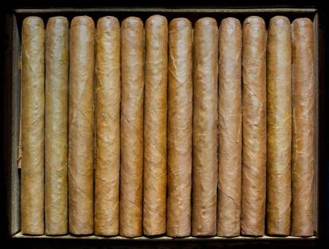 Twelve cigars Stock Photos