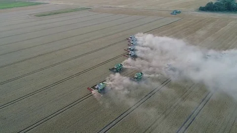 Twelve combines in the roundabout field Stock Footage 81948806