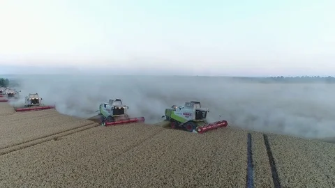 Twelve harvesters at work, close-up Video stock 81945818