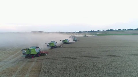 Twelve harvesters at work Stock Footage 81949651